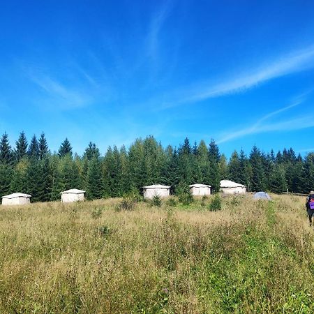 Eco Glamping - Carpathians. Retreat Hub Dzin Space Verkhovyna Luaran gambar