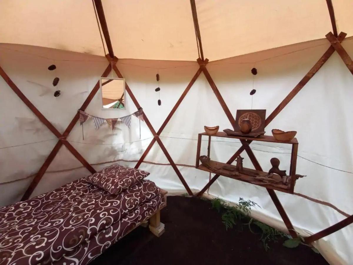 Eco Glamping - Carpathians. Retreat Hub Dzin Space Verkhovyna Luaran gambar