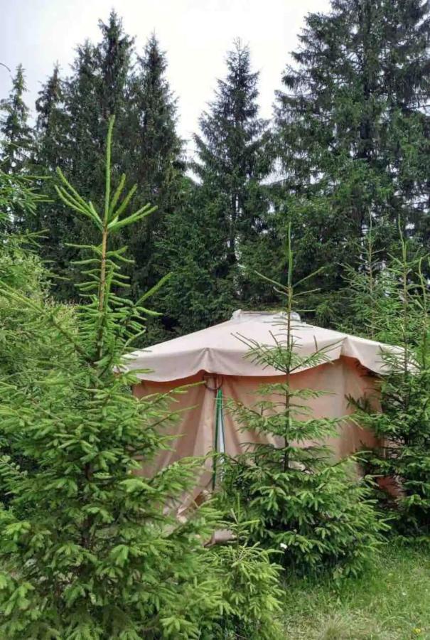 Eco Glamping - Carpathians. Retreat Hub Dzin Space Verkhovyna Luaran gambar