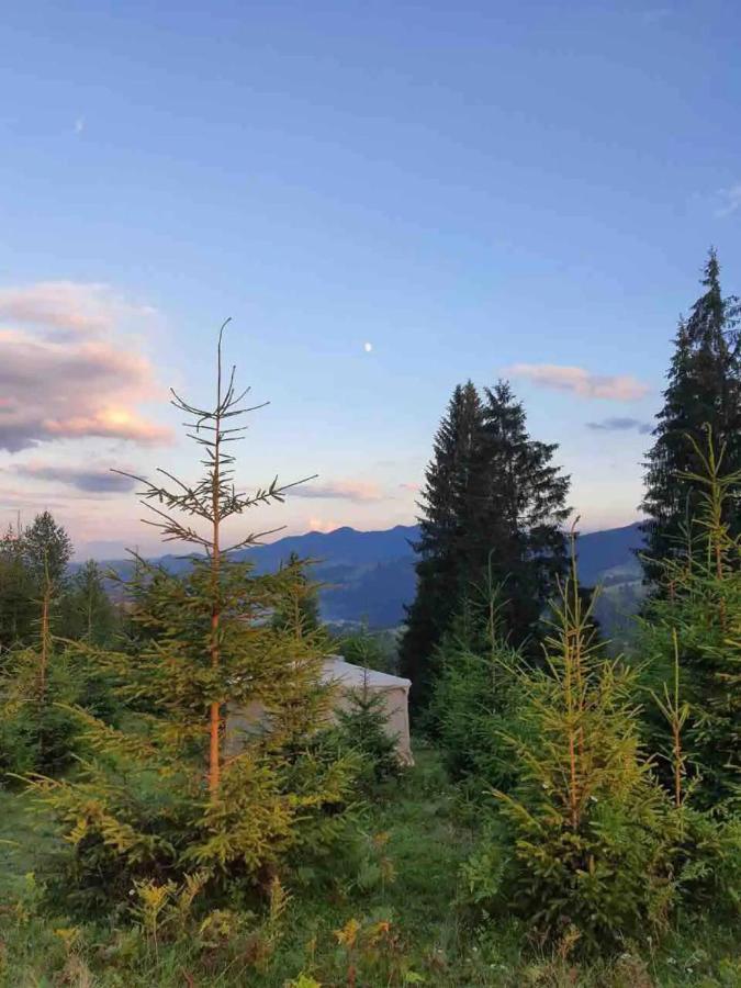 Eco Glamping - Carpathians. Retreat Hub Dzin Space Verkhovyna Luaran gambar