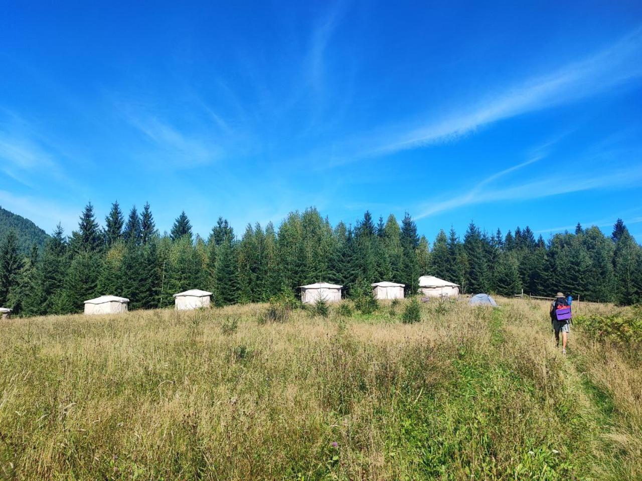 Eco Glamping - Carpathians. Retreat Hub Dzin Space Verkhovyna Luaran gambar